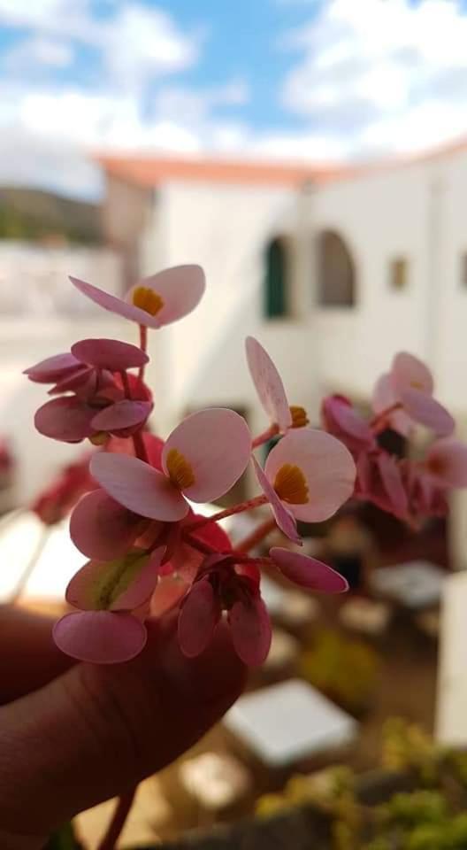 Hotel Casablanca Samaipata Bagian luar foto